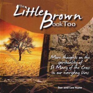 Little Brown Book Too