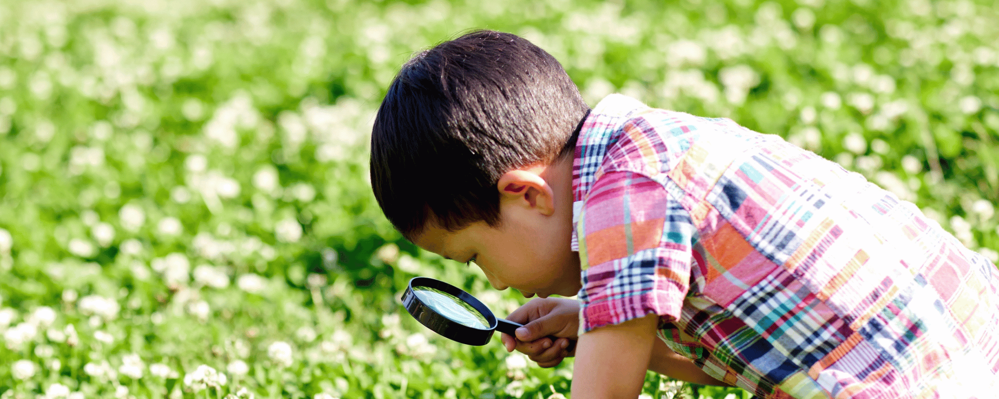 Looking Again Looking and Looking Again – a school holiday experience - Mary MacKillop